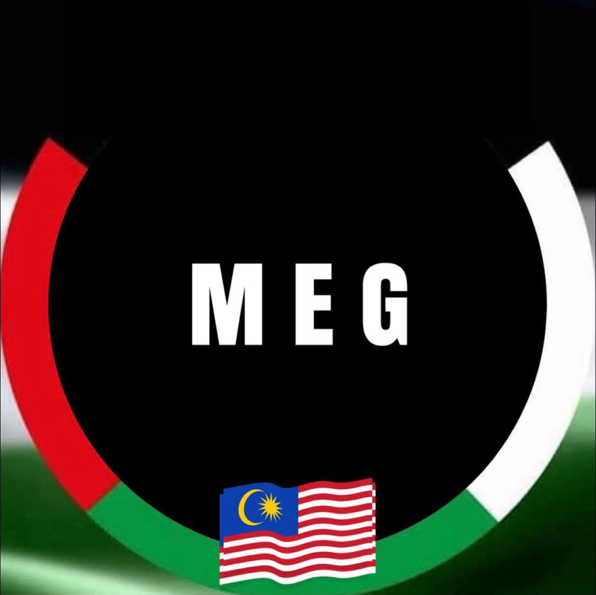 MEG